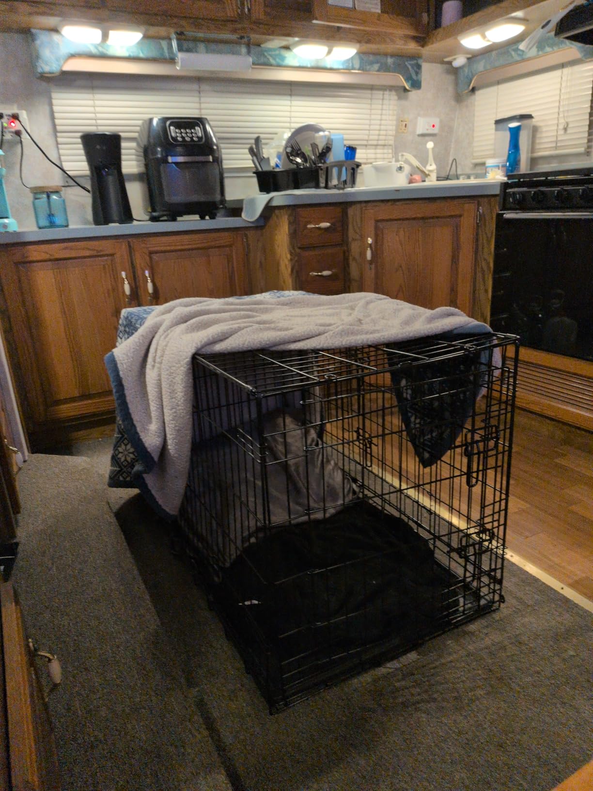 Dog Crate - Medium 36 Inch Double Door Portable Dog Cage, Metal Wire Pet Kennel with Secure Lock, Leak-Proof Pan Tray, Foldable Design for Dogs Pets Indoor Training and Outdoor Travel customer photo 1