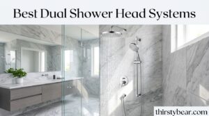 Best Dual Shower Head Systems