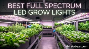 Best Full Spectrum LED Grow Lights