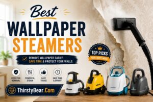 Best Wallpaper Steamers