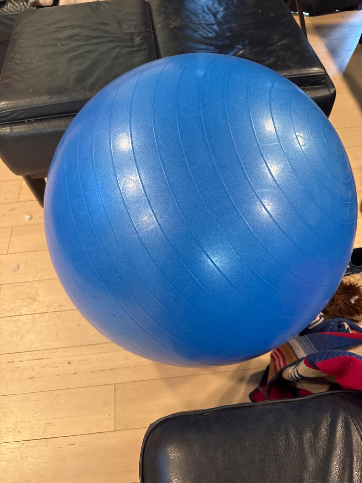 THERABAND Standard Exercise Ball customer photo 1