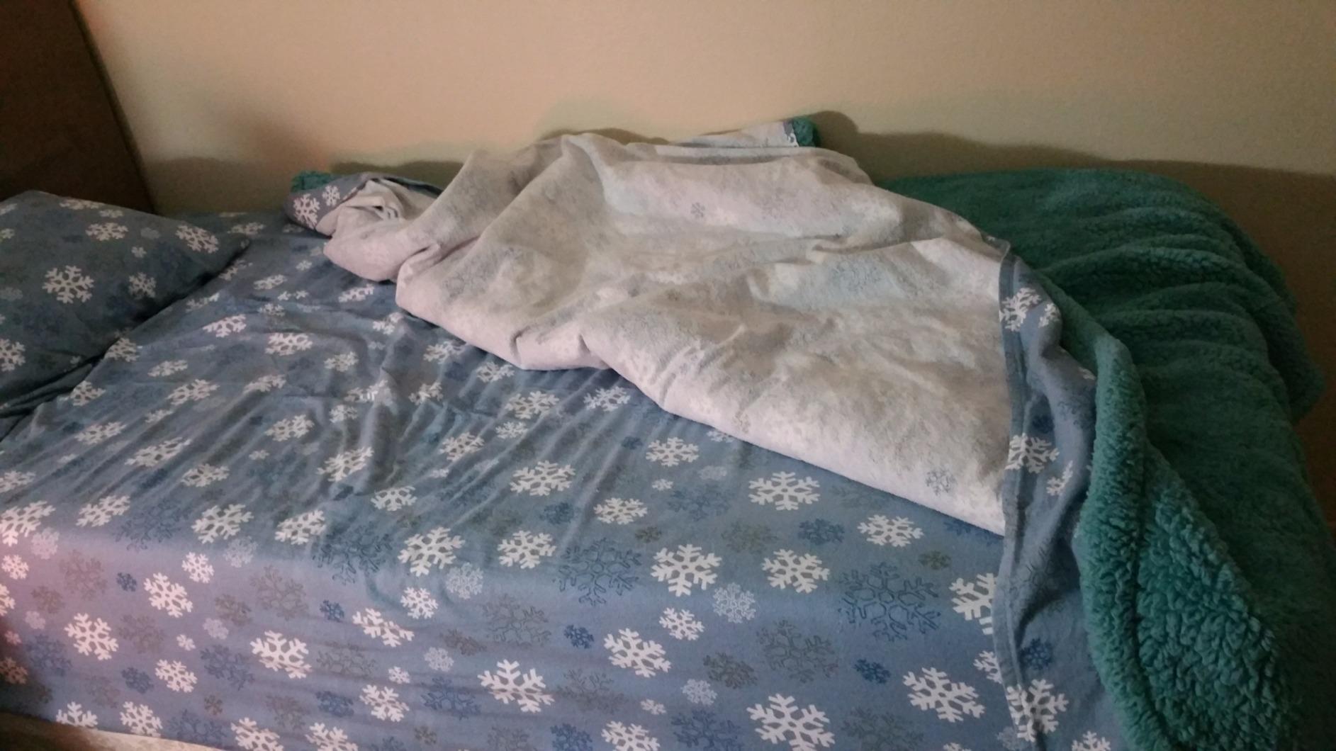 Pointehaven Heavy Weight Flannel Sheet Set, Queen, Snow Flakes - Warm & Cozy - 100% Cotton Flannel Pre-Shrunk -170 GSM -Deep Pockets -Easy Fit Elastic All Around-Comfy Double Brushed customer photo 1