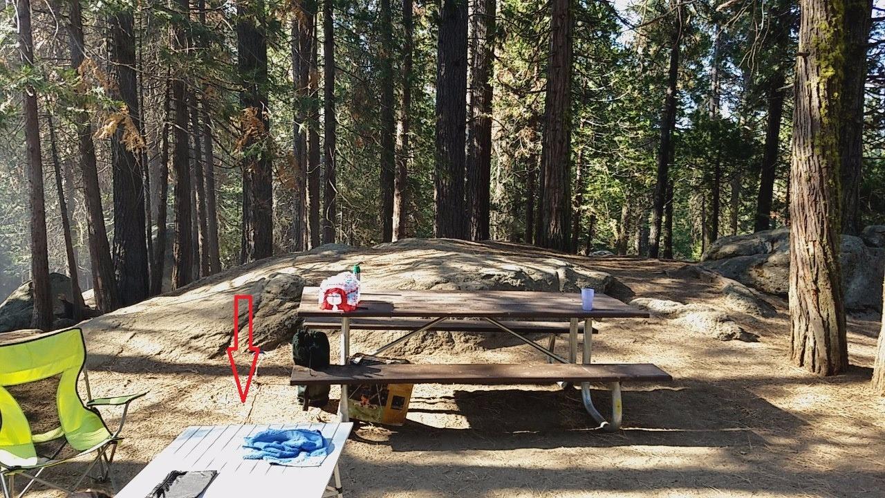 Coleman Outdoor Folding Table, Sturdy Aluminum Camping Table with Snap-Together Design, Seats 4 & Carry Bag Included customer photo 1