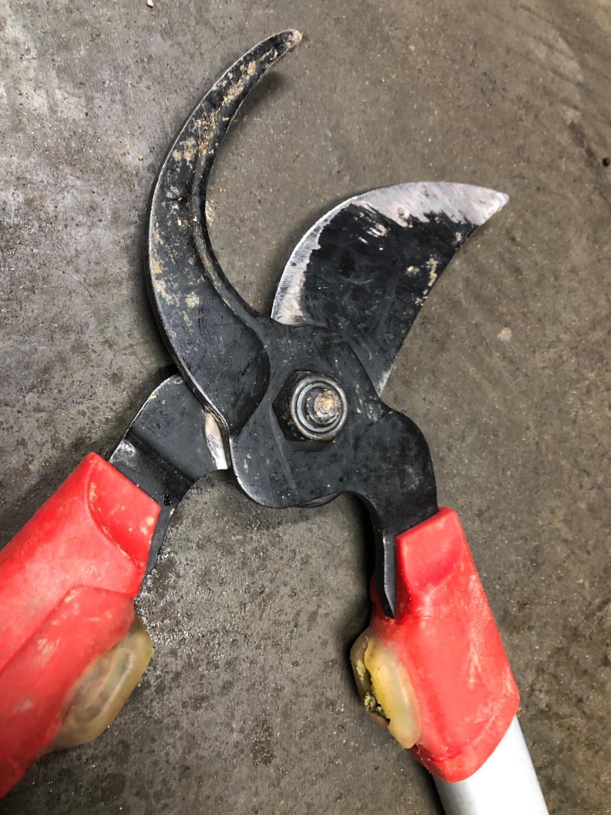 Corona Tools | 30-inch Branch Cutter ComfortGEL Bypass Loppers | Tree Trimmer Cuts Branches up to 1 ½-inches in Diameter | SL 3264 customer photo 2
