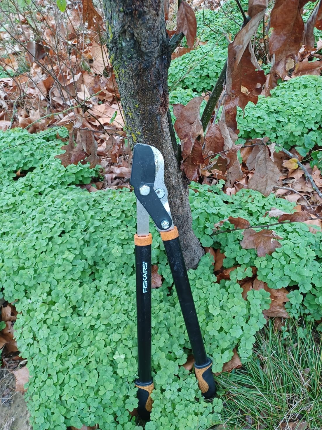 Fiskars 28-Inch Power-Lever Garden Bypass Lopper and Tree Trimmer, Sharp Precision-Ground Steel Blade for Cutting Branches up to 1.75-Inch Diameter customer photo 1