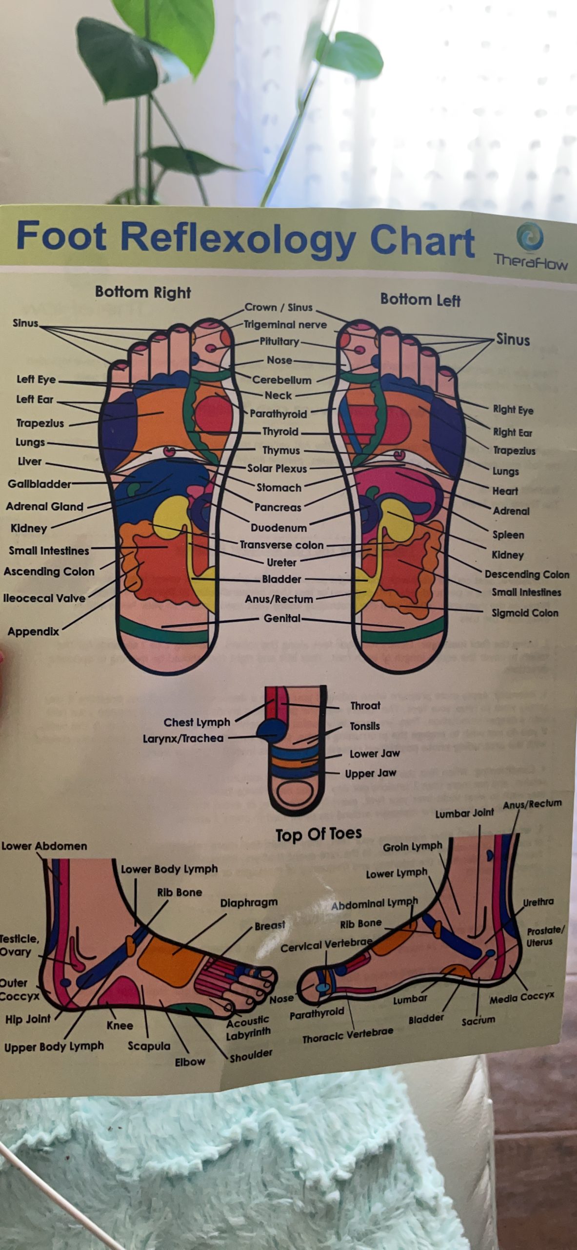TheraFlow Foot Roller for Plantar Fasciitis Relief and Neuropathy Pain Relief - Wooden Foot Massager Roller customer photo 2