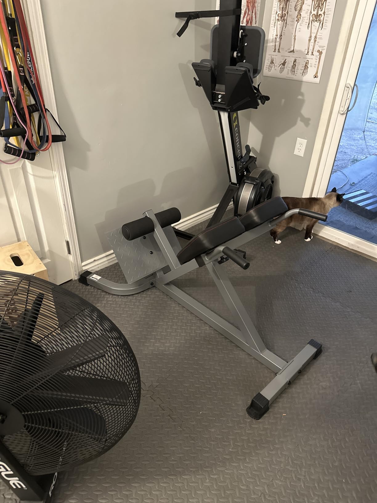 CAP Barbell Strength Hyperextension customer photo 1