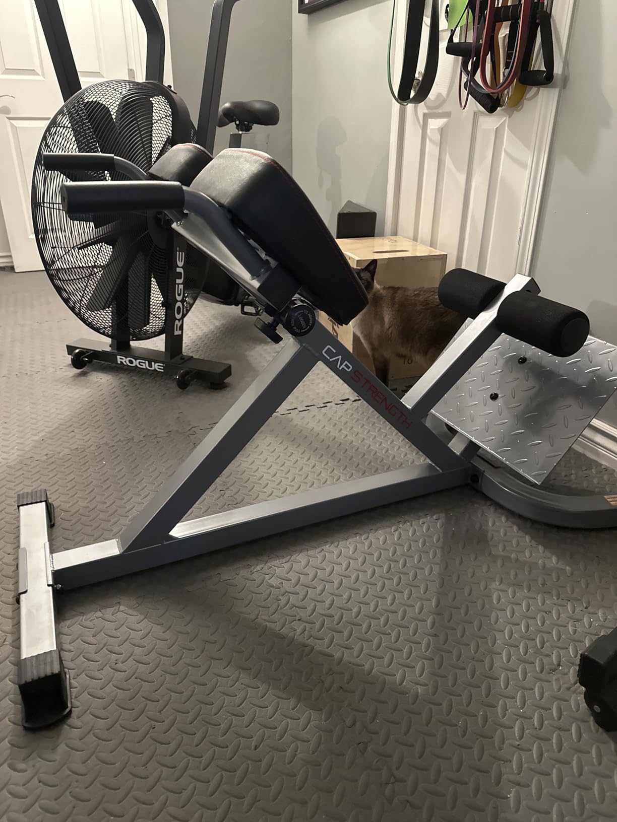 CAP Barbell Strength Hyperextension customer photo 2