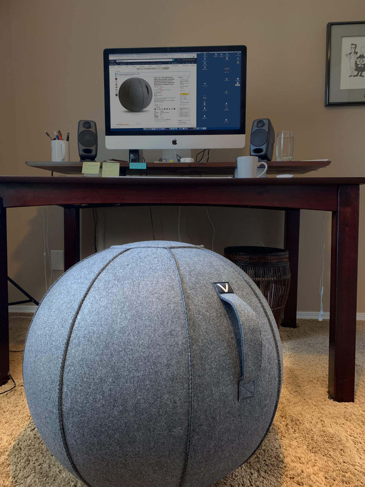 Vivora Luno Premium Ergonomic Sitting Ball Chair, Felt, Standard Size (22 to 24 inches), for Home Offices, Balance Training, Yoga Ball, Posture Improvement customer photo 1