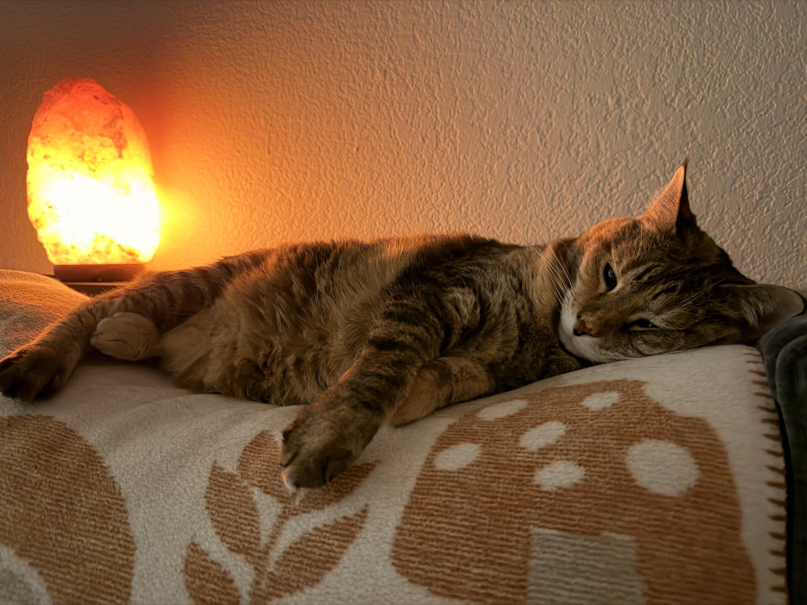 Himalayan Salt Lamp for Bedroom Large 8-10 Inch Pink Salt Rock Lamp with Dimmer, Wooden Base & Spare Bulbs | Calming Ambient Night Light customer photo 1
