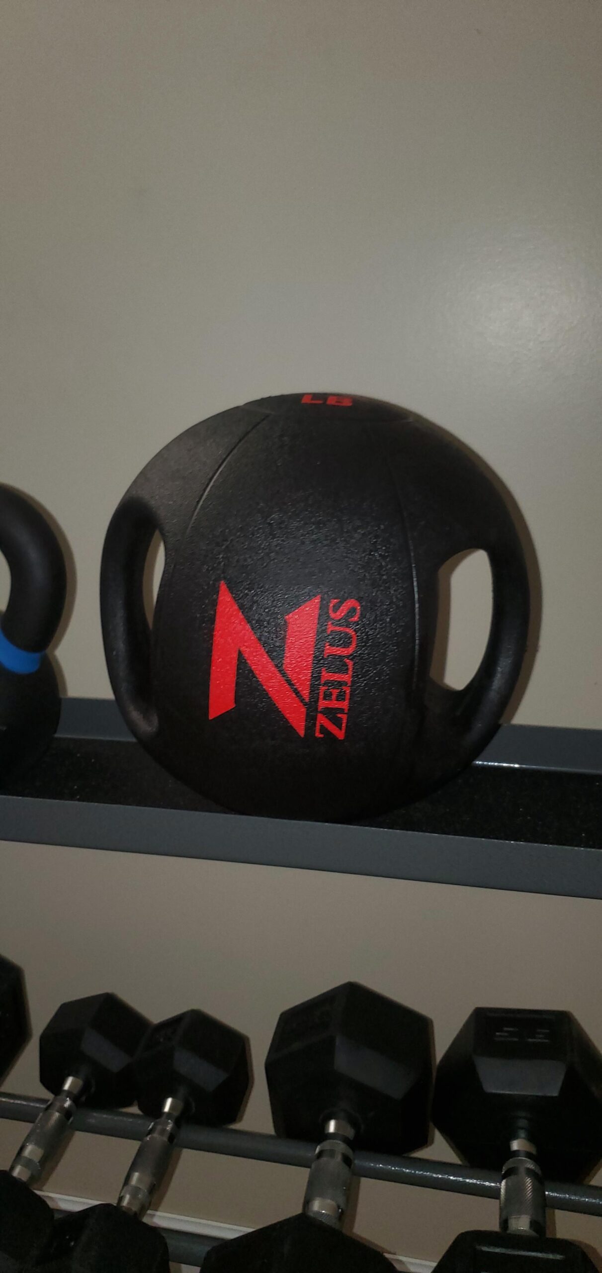 ZELUS Medicine Ball with Dual Grip | 10/20 lbs Exercise Ball | Weight Ball with Handles customer photo 2