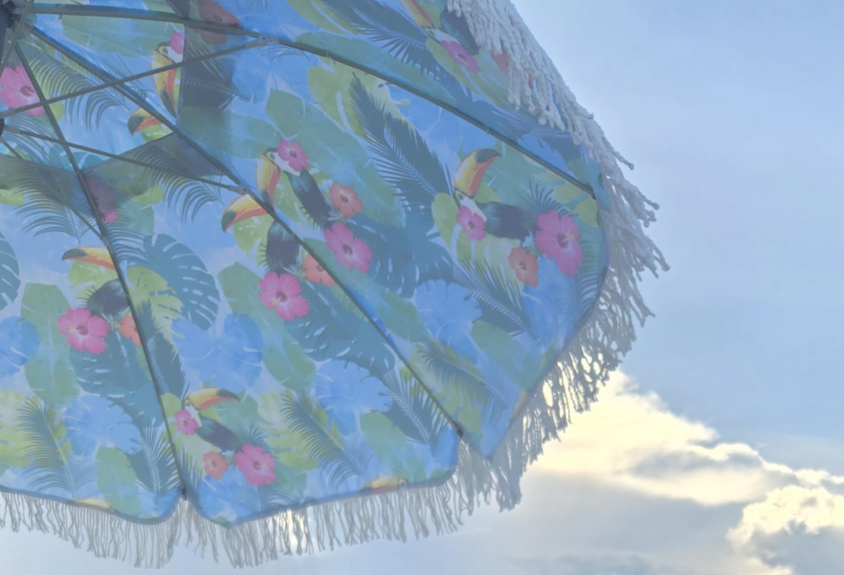 AMMSUN 6.5ft Tropical Fringe Beach Umbrella with Sand Anchor, Tilt, Air Vent, UPF50+, Portable Carry Bag customer photo 2