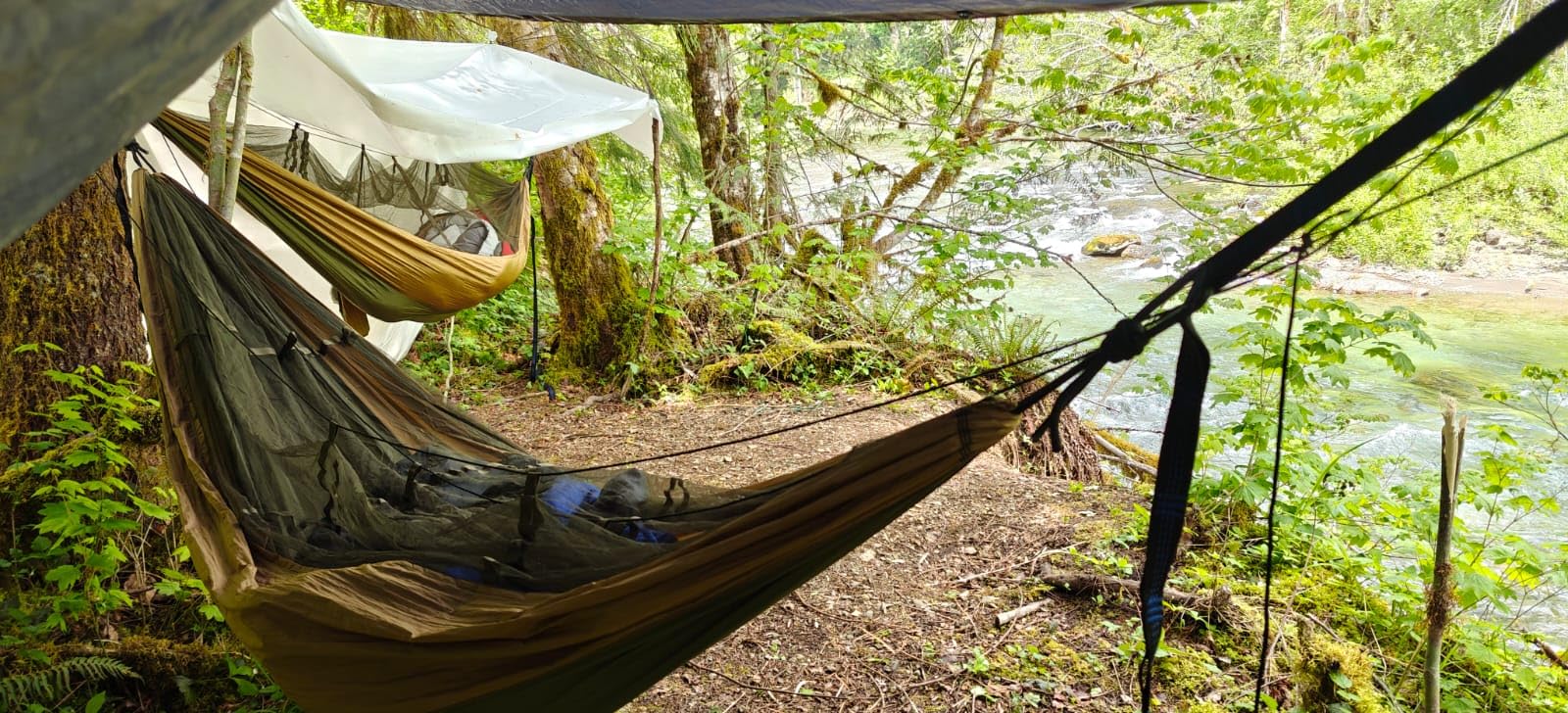 Sunyear Camping Hammock, Portable Single & Double Hammock with Net, 2 Person Hammock Tent with 2 * 10ft Straps, Best for Outdoor Hiking Survival Travel customer photo 1