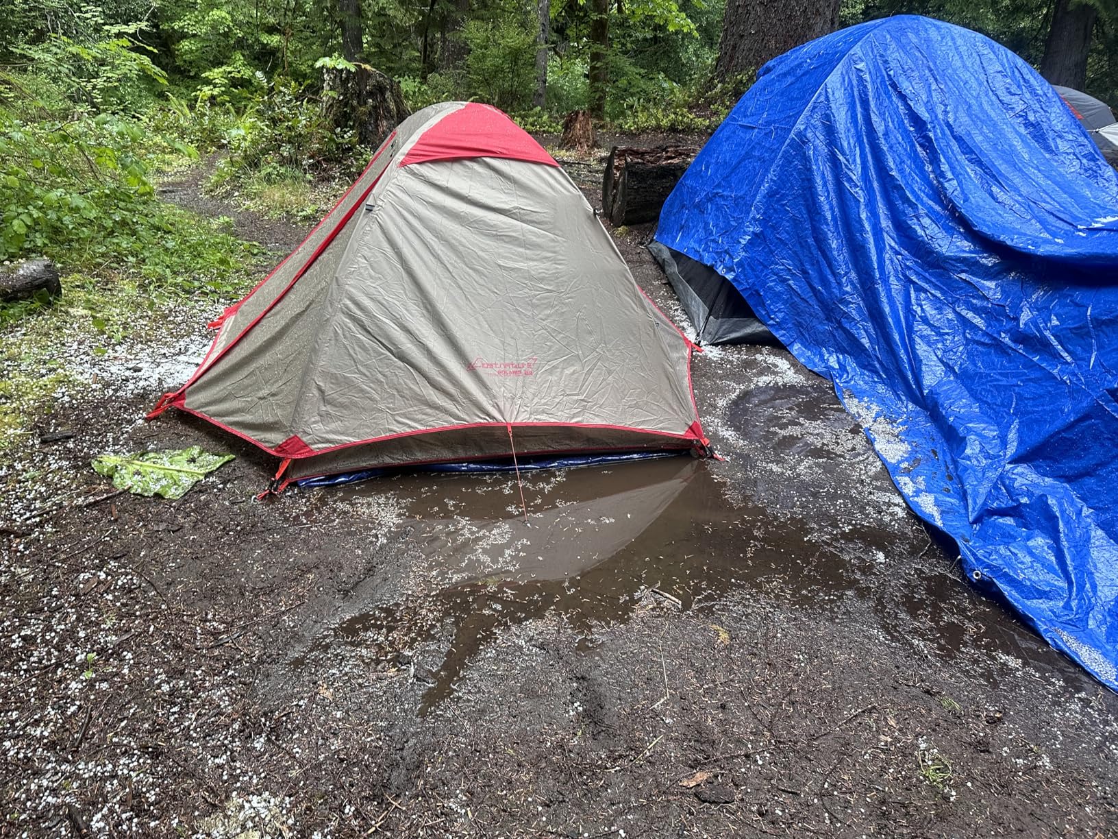 Clostnature 1/1.5/2/3/4/6 Person Lightweight Backpacking Tent, Camping Tent | Aluminum Pole, PU 5000, Easy Setup Tent, Ultralight, Durable, Waterproof, Compact, Freestanding, Two Doors, Hiking, Outdoor customer photo 1