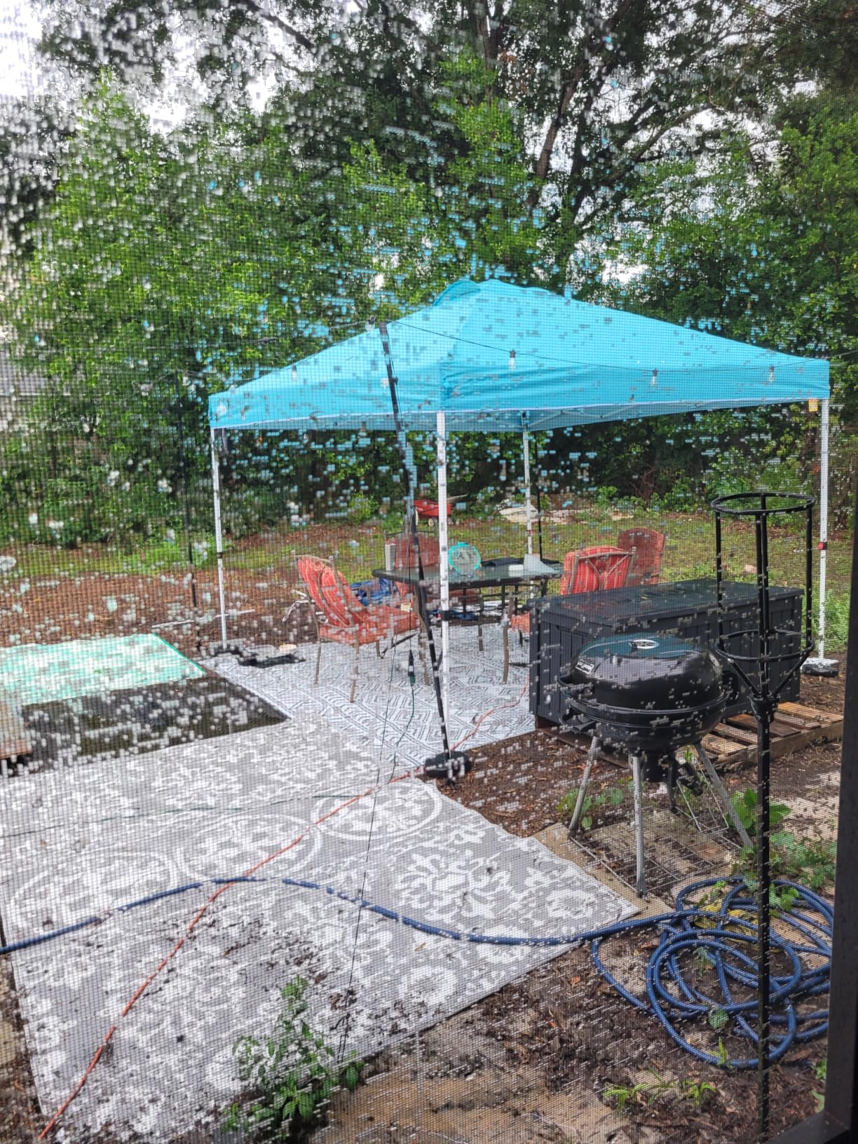 EAGLE PEAK Pop Up Canopy Tent with Wheeled Carry Bag, 8 Stakes, 4 Ropes, 4 Weight Bags, Easy Set Up Tent Canopy, 10x10 ft, 100sqft of Shade, Blue customer photo 1