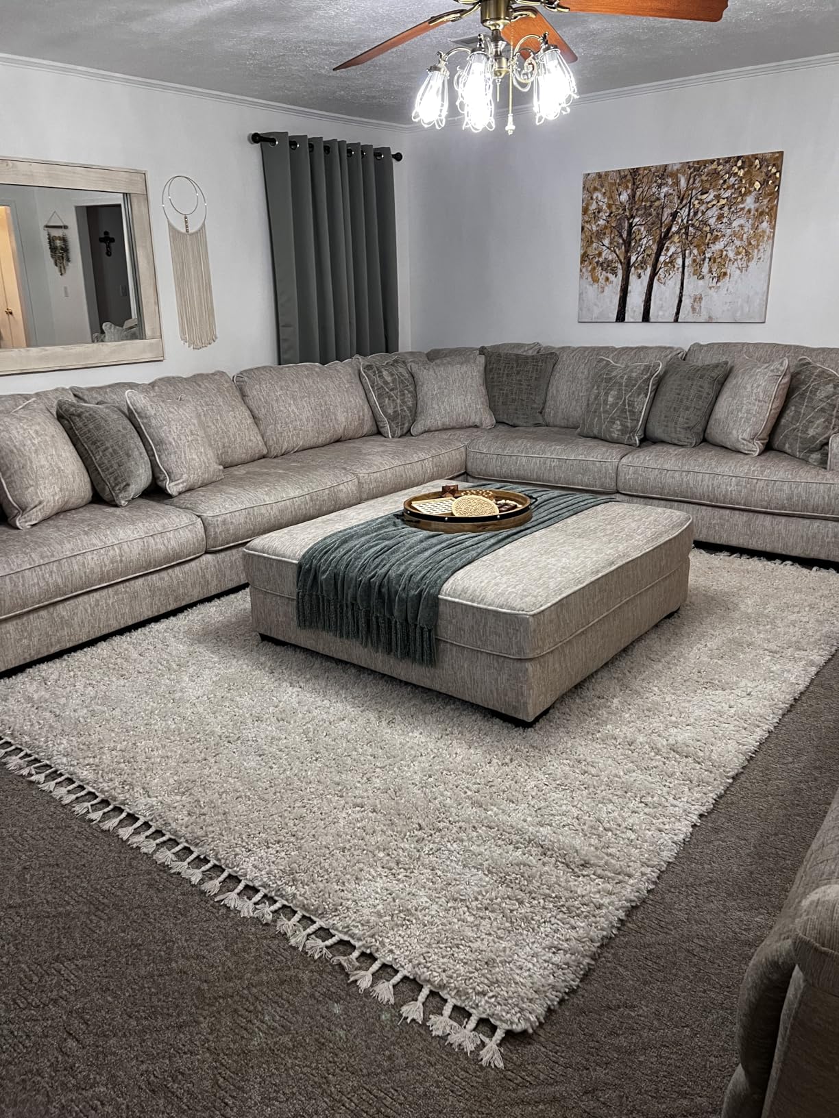 JONATHAN Y Mercer Shag Plush Tassel Cream Indoor Area Rug, 8x10, Contemporary, Modern, Easy-Cleaning for Living Room, Bedroom, Kitchen, Pet Friendly, Non-Shedding (MCR100D-8) customer photo 1
