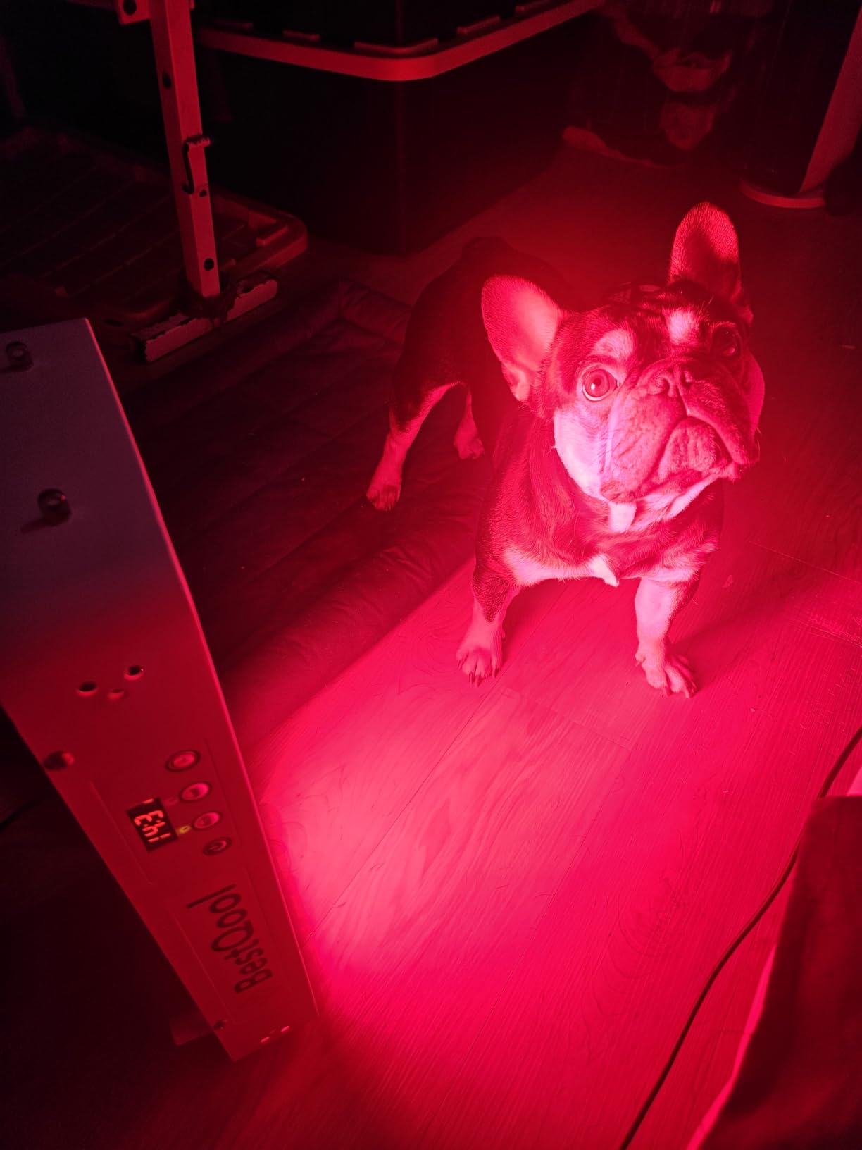 BestQool Red Light Therapy for face Body, 4 Wavelengths Infrared Red Light Therapy Panel, 100 Elite Grade Dual Chip LEDs, High Power Infrared Light Therapy Lamp, Modular Design. 160W customer photo 2