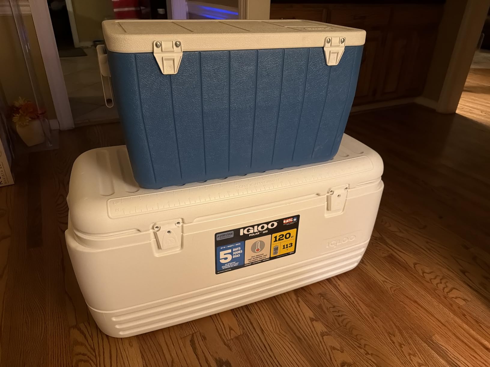 Igloo Hard Cooler | Polar & Party Bar Series | Insulated Ice Chests customer photo 1