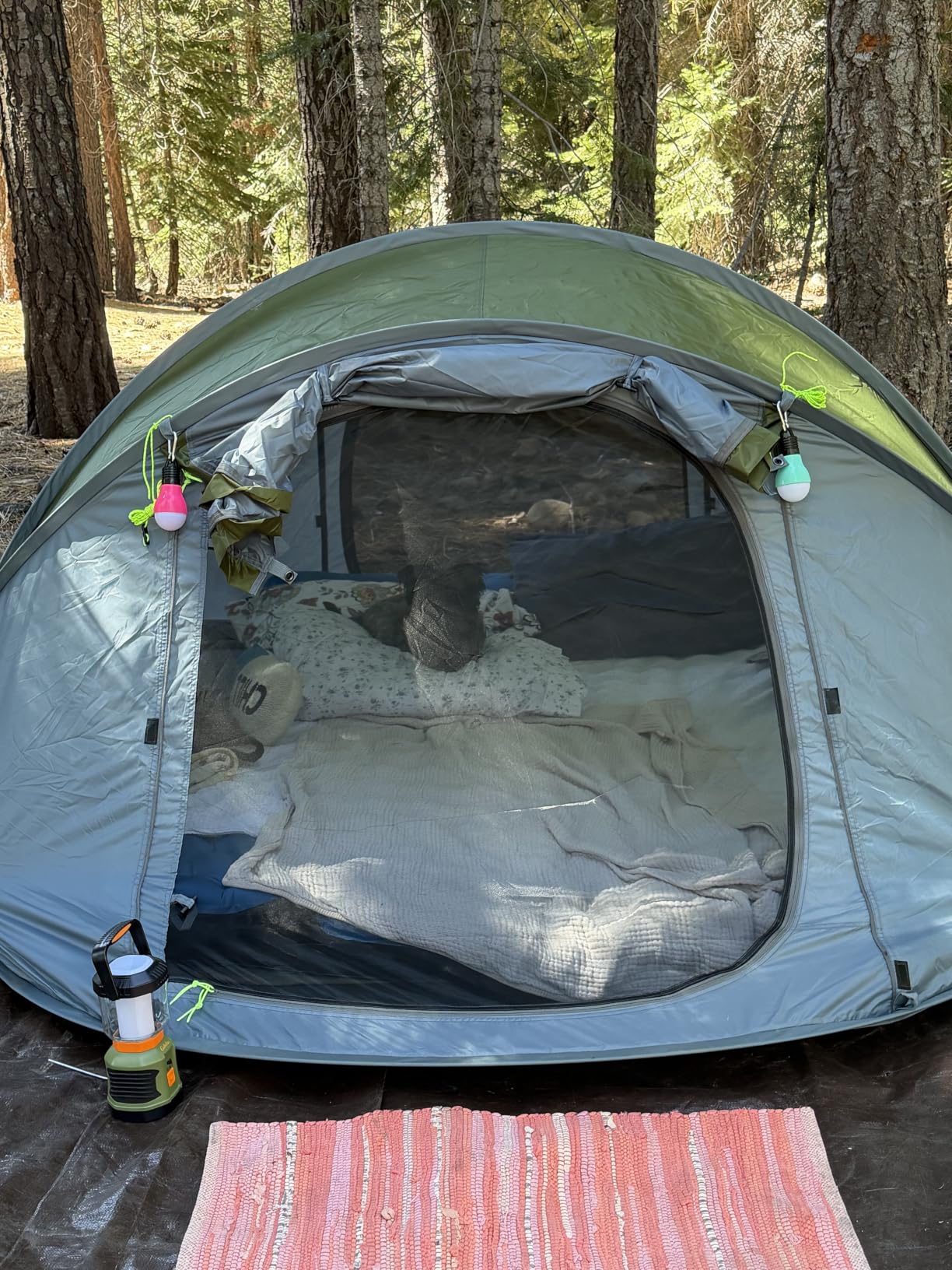 4 Person Easy Pop Up Tent Waterproof Automatic Setup 2 Doors-Instant Family Tents for Camping Hiking & Traveling customer photo 1