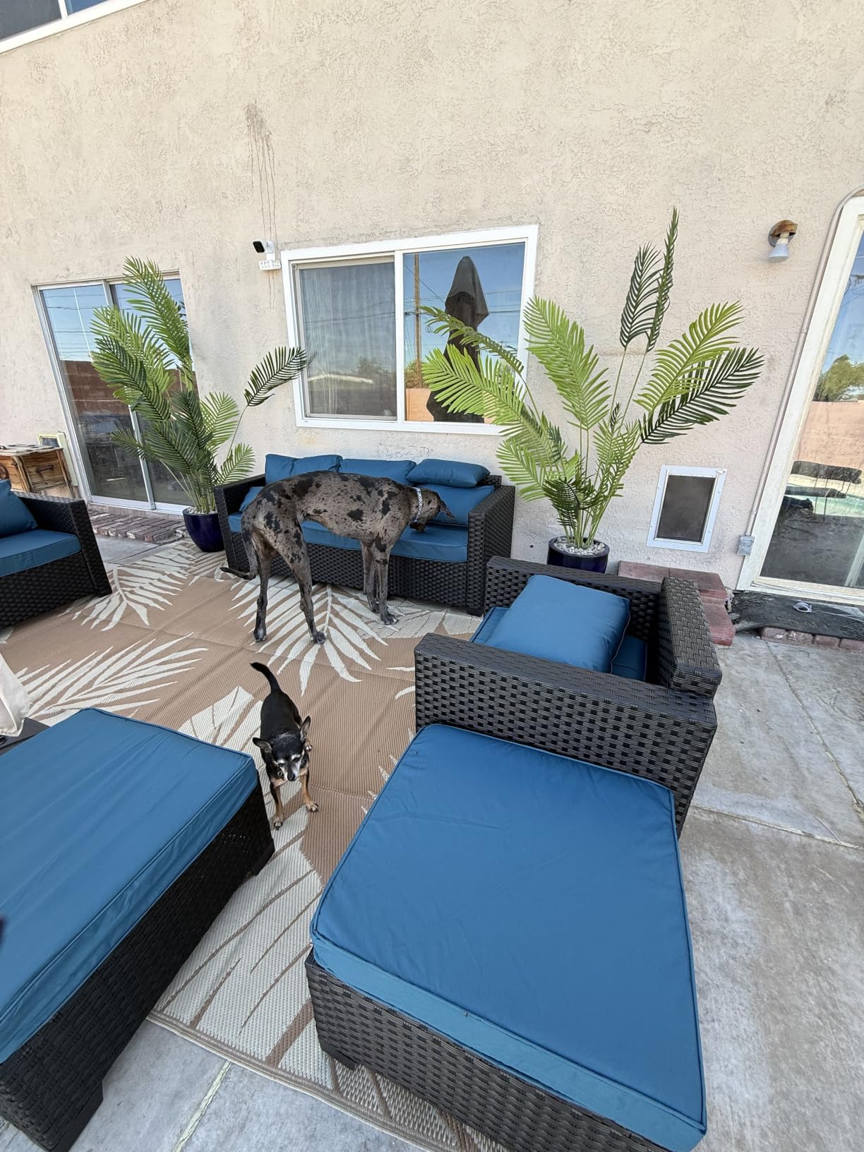 Rattaner Patio Wicker Furniture Set 6 Pieces Outdoor HDPE Wicker Conversation Couch Sectional Chair Sofa Set with Grey Cushions customer photo 1