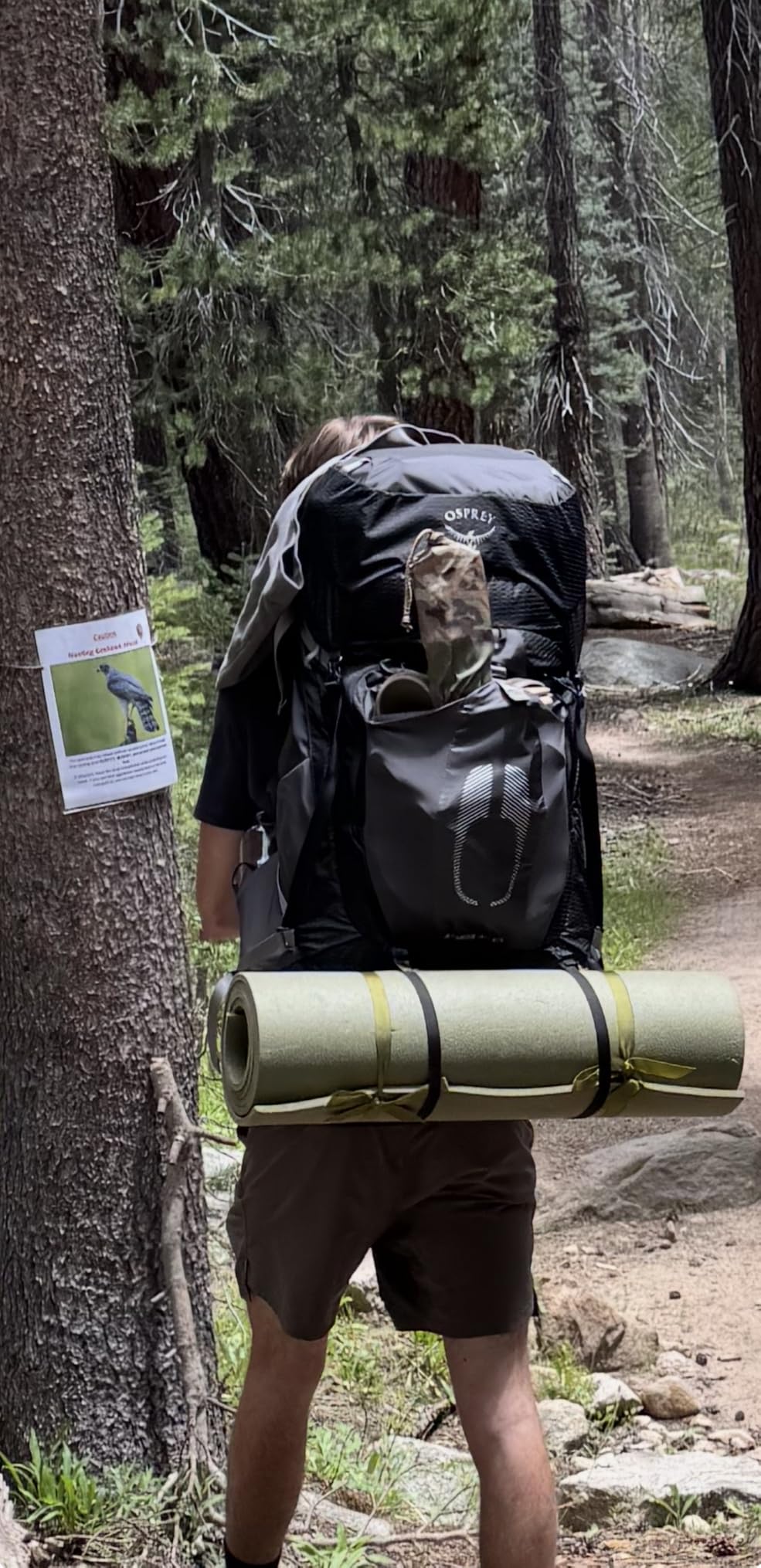 Osprey Atmos AG 65L Men's Backpacking Backpack, Black, L/XL customer photo 1
