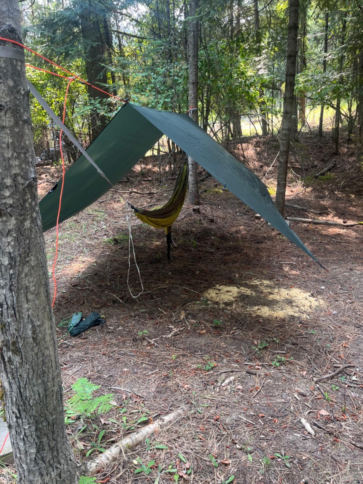 Eagles Nest Outfitters SingleNest Lightweight Camping Hammock customer photo 1
