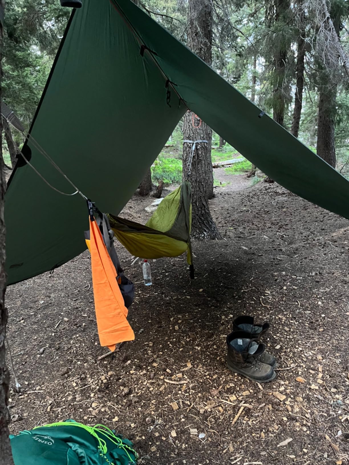 Eagles Nest Outfitters SingleNest Lightweight Camping Hammock customer photo 2