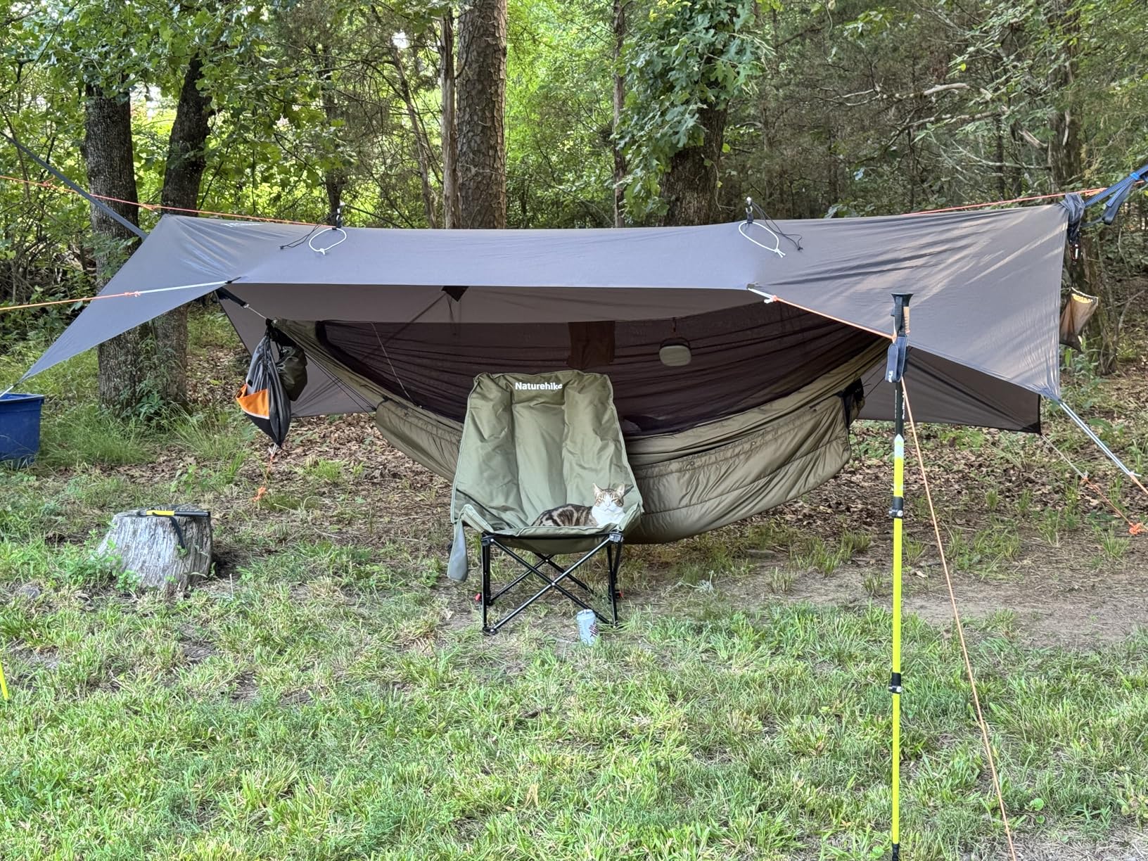 Onewind 11ft Ultralight Camping Hammock with Mosquito Net and Ridgeline | 70D Hexagon Ripstop Nylon, Integrated No-see-ums Bugnet, 64'' Single Wide Panel, Lightweight Hammock for Hiking Backpacking customer photo 2