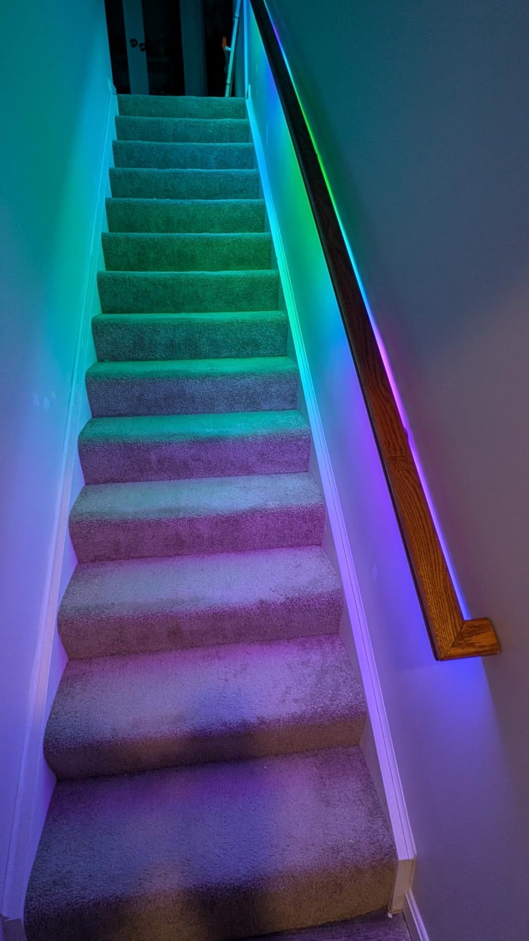 Kasa Smart LED Light Strip, 50 Color Zones RGBIC, 16.4ft Wi-Fi LED Strip Works w/ Alexa, Google Home & SmartThings, High Brightness, 16M Colors, PU Coating, Trimmable customer photo 2