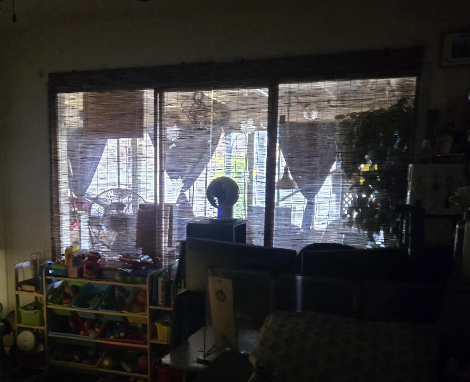 Forever Bamboo Light-Filtering Cord-Free Bamboo Reed Roll-Up Blind Shades for Windows Manual Roman Blinds Coffee 48 in W x 72 in H customer photo 1