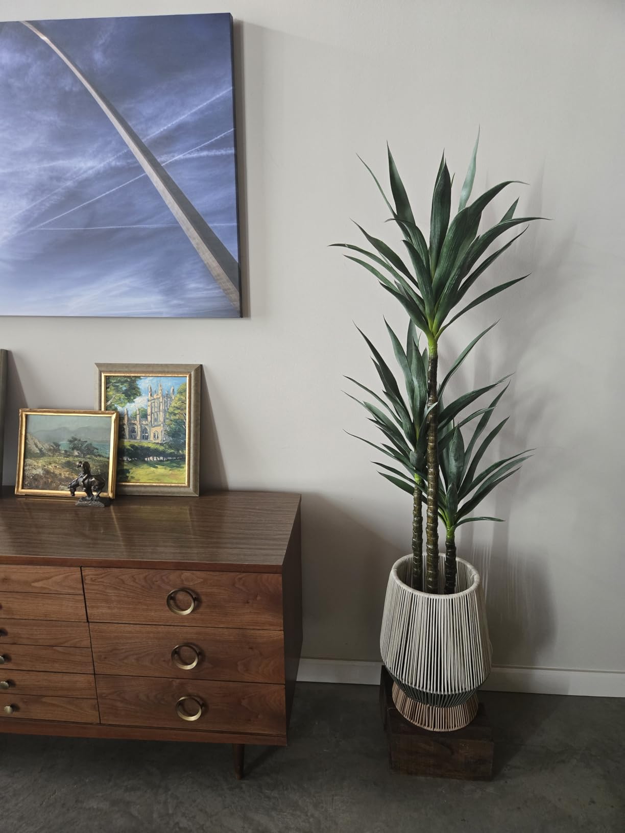 Waoops Artificial Tree 5.3Ft Faux Agave Plant with 3 Heads in Plastic Pot Fake Tree for Home Decor Indoor or Outdoor Office Decoration Housewarming Gift customer photo 1