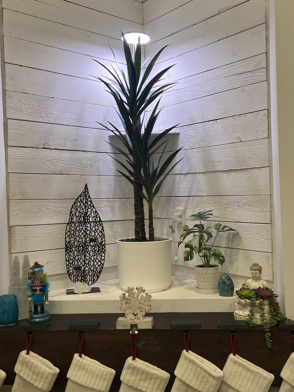 Waoops Artificial Tree 5.3Ft Faux Agave Plant with 3 Heads in Plastic Pot Fake Tree for Home Decor Indoor or Outdoor Office Decoration Housewarming Gift customer photo 2