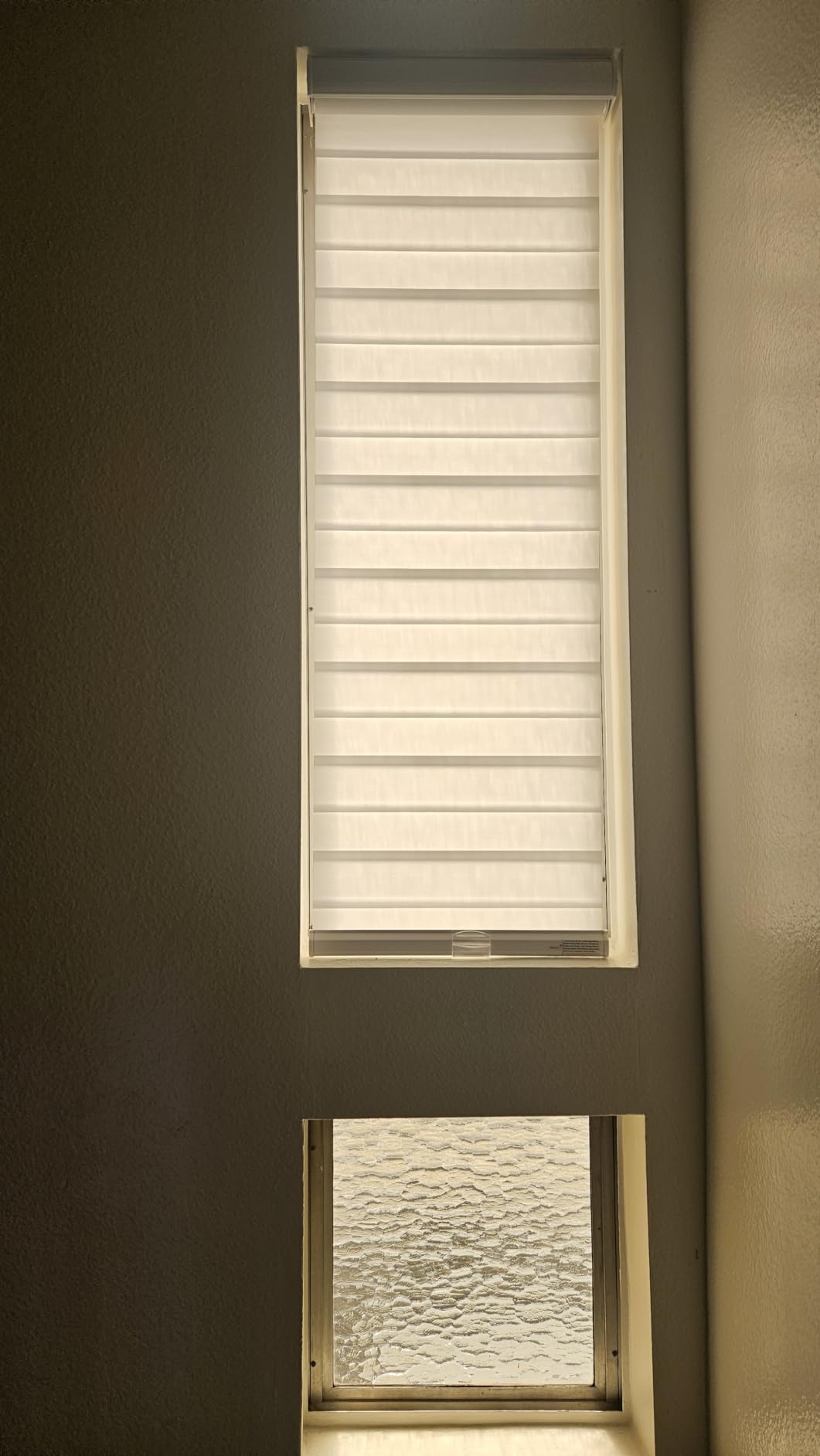 Persilux Cordless Zebra Blinds for Windows Free-Stop Roller Windows Shades (35