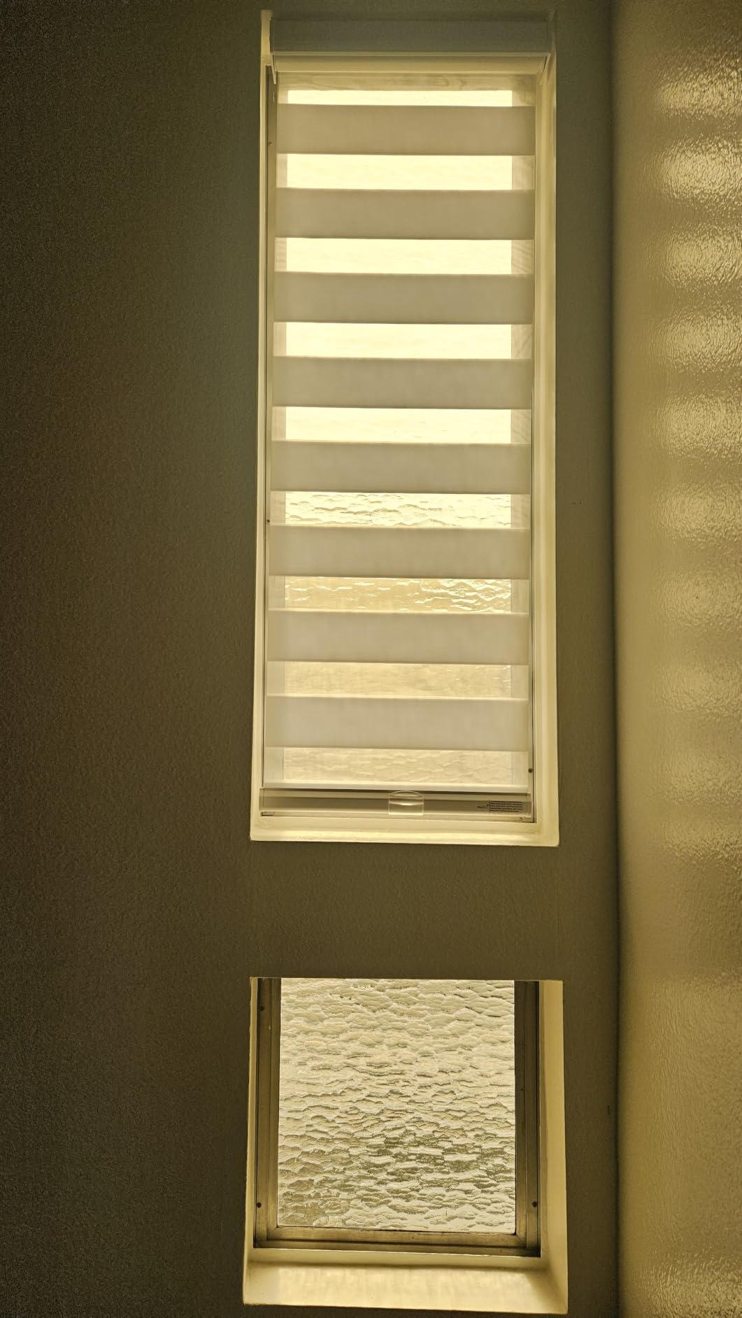 Persilux Cordless Zebra Blinds for Windows Free-Stop Roller Windows Shades (35