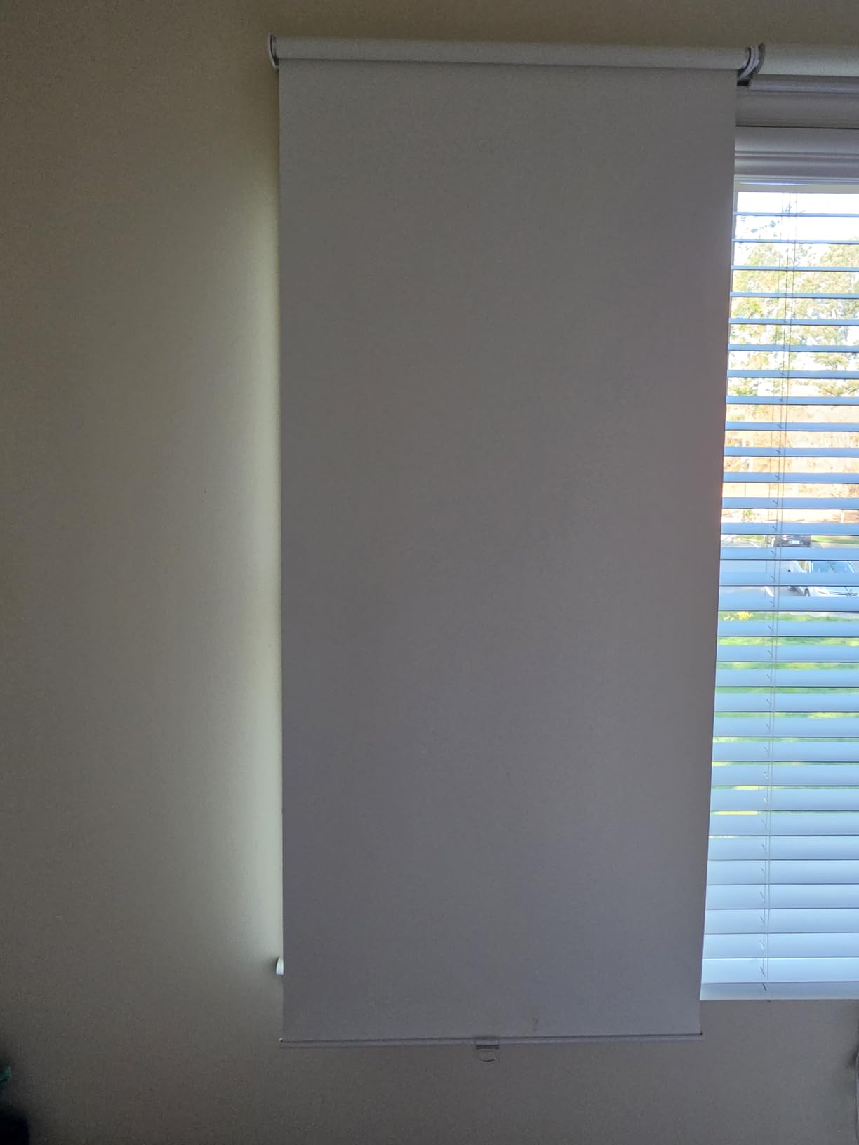 AOSKY Blackout Cordless Roller Shade for Indoor Windows, 23