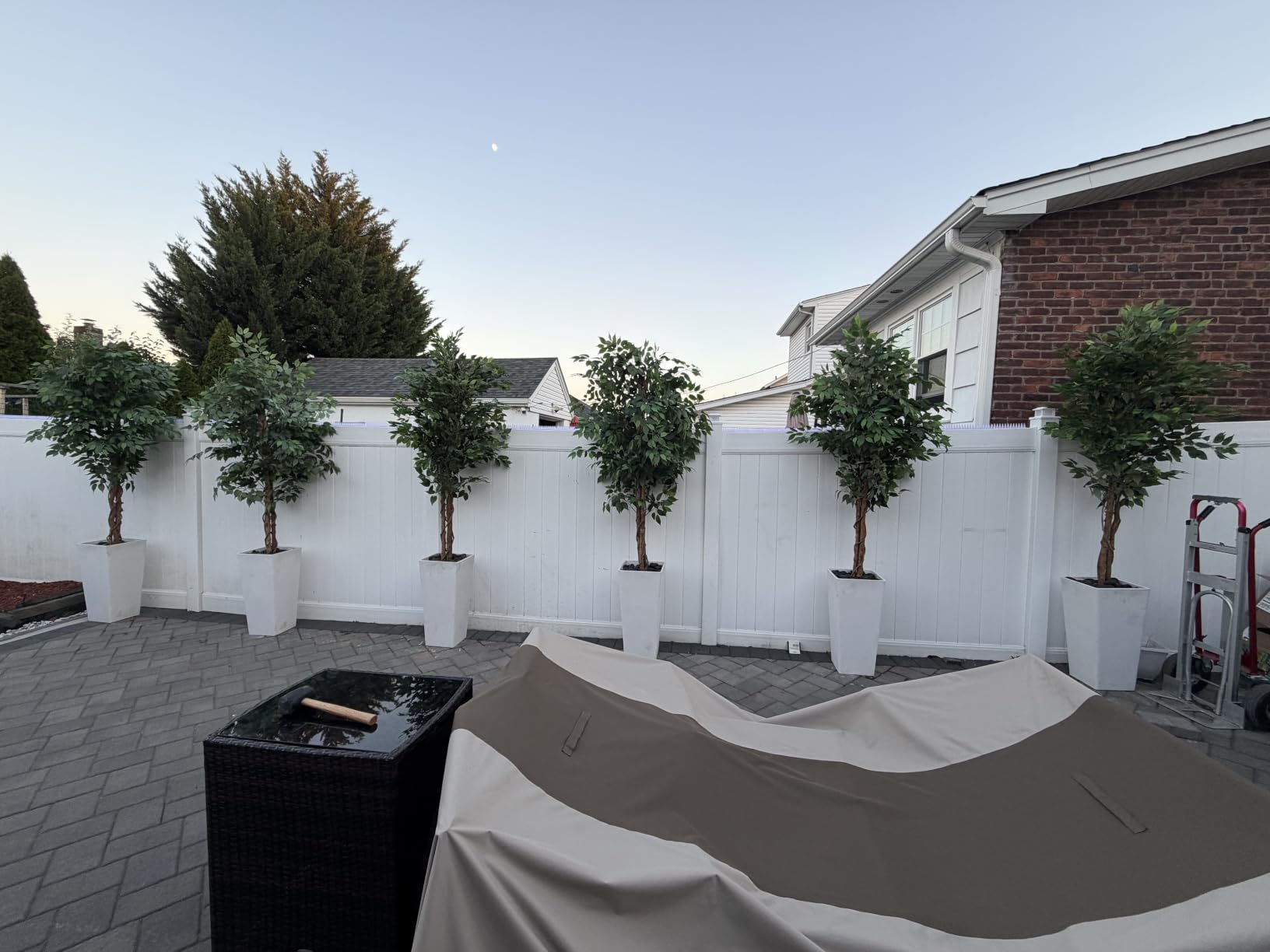 6.2ft Ficus Artificial Trees with 3 Natural Curved Trunks, 74