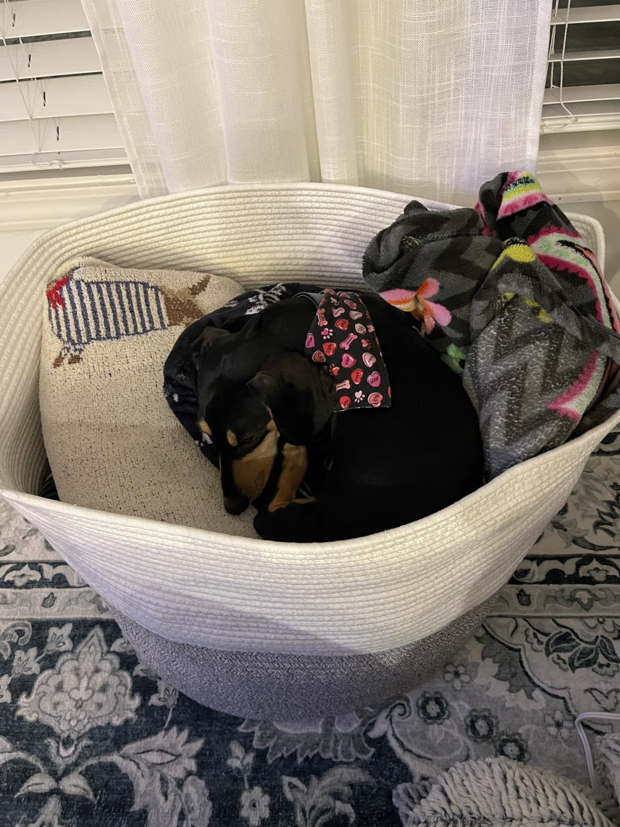 Goodpick Extra Large Wicker Storage Basket, 83L Woven Blanket Storage for Living Room, Round Baby Basket for Clothes, Big Laundry Hamper for Pillow, 21.7 x 13.8 inches customer photo 2
