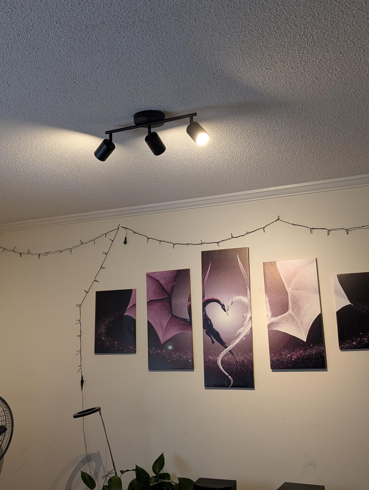 LED 4 Light Track Lighting Kit, Black 4 Way Ceiling Spot Lighting, Flexibly Rotatable Light Head for Kitchen, Living Room, Bedroom, Bulb Not Included customer photo 2