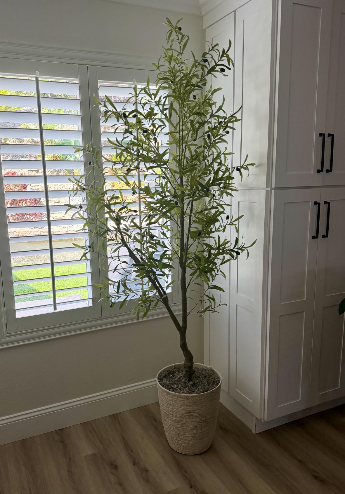 FEELEAD 7ft Faux Olive Tree with Natural Olive Branches & Realistic Leaves | Fake Potted Olive Silk Tree with Sturdy Base - Realistic Olive Trees Artificial Indoor for Modern Home Entryway Office Decor customer photo 2