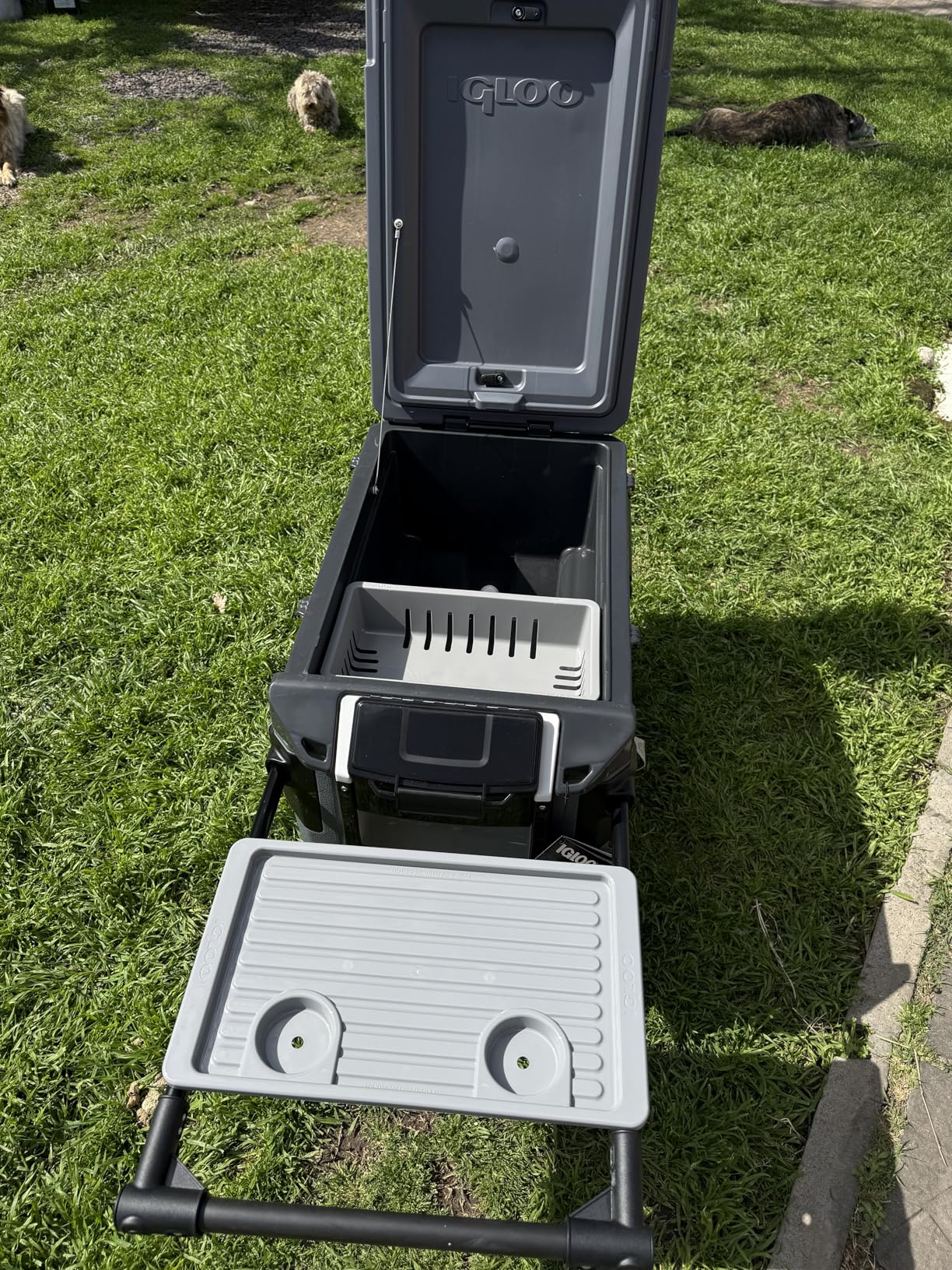 Igloo Trailmate Journey 70Qt Wheeled Cooler | Insulated Hard Shell Ice Chest customer photo 2