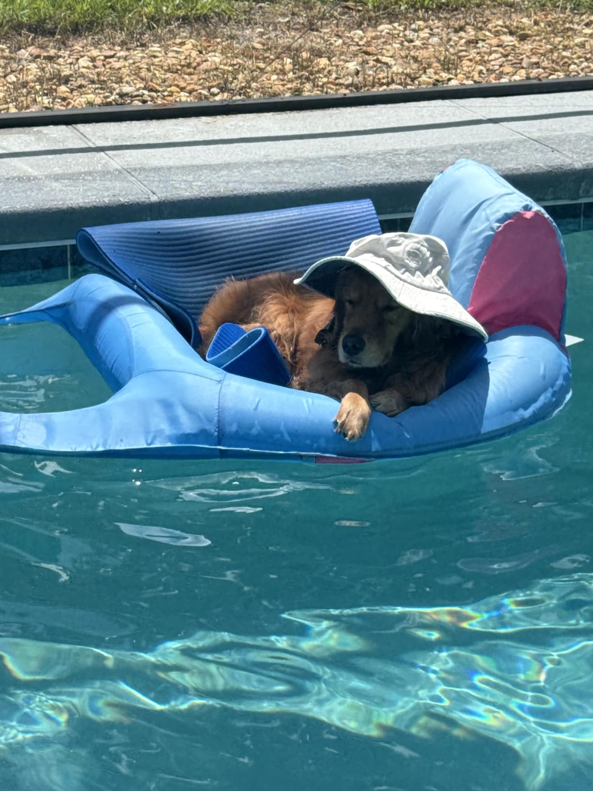 SwimWays Spring Float Recliner, Fast-Inflating Adult Pool Lounger; Ages 15+ | Patented Fast Inflation for Immediate Use During Travel, Fits Most Adults and Teens, Teens & Adults Can Lounge Comfortably customer photo 1