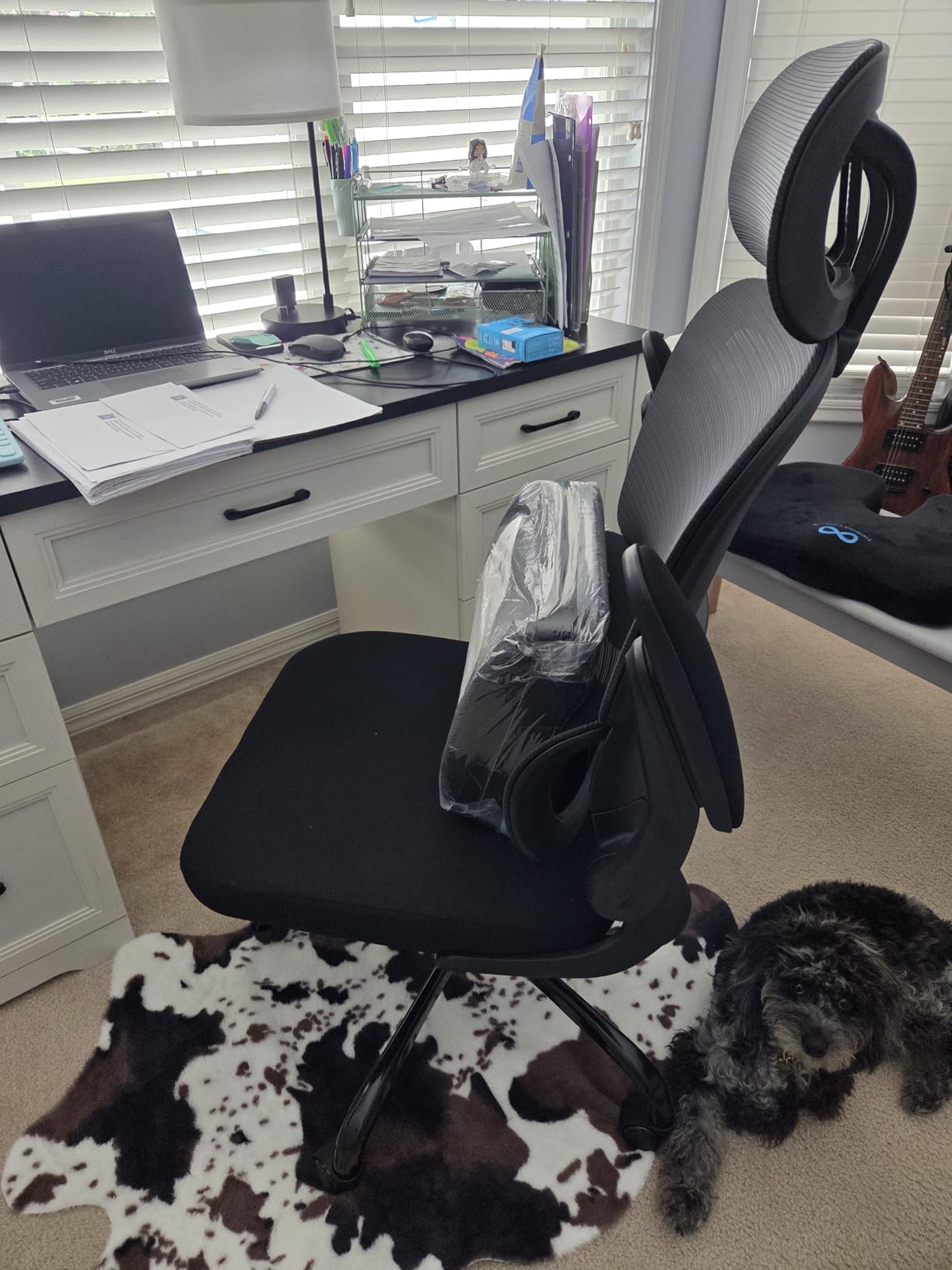 TRALT Office Chair Ergonomic Desk Chair with Lumbar Support Black, 1 customer photo 1