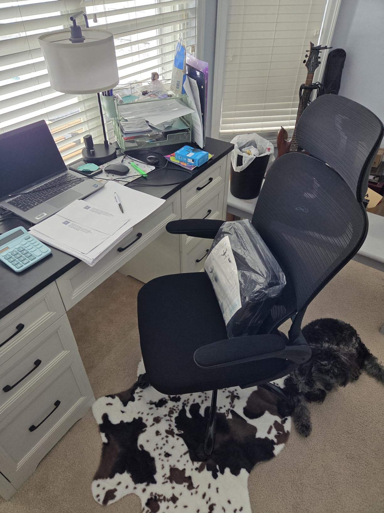 TRALT Office Chair Ergonomic Desk Chair with Lumbar Support Black, 1 customer photo 2