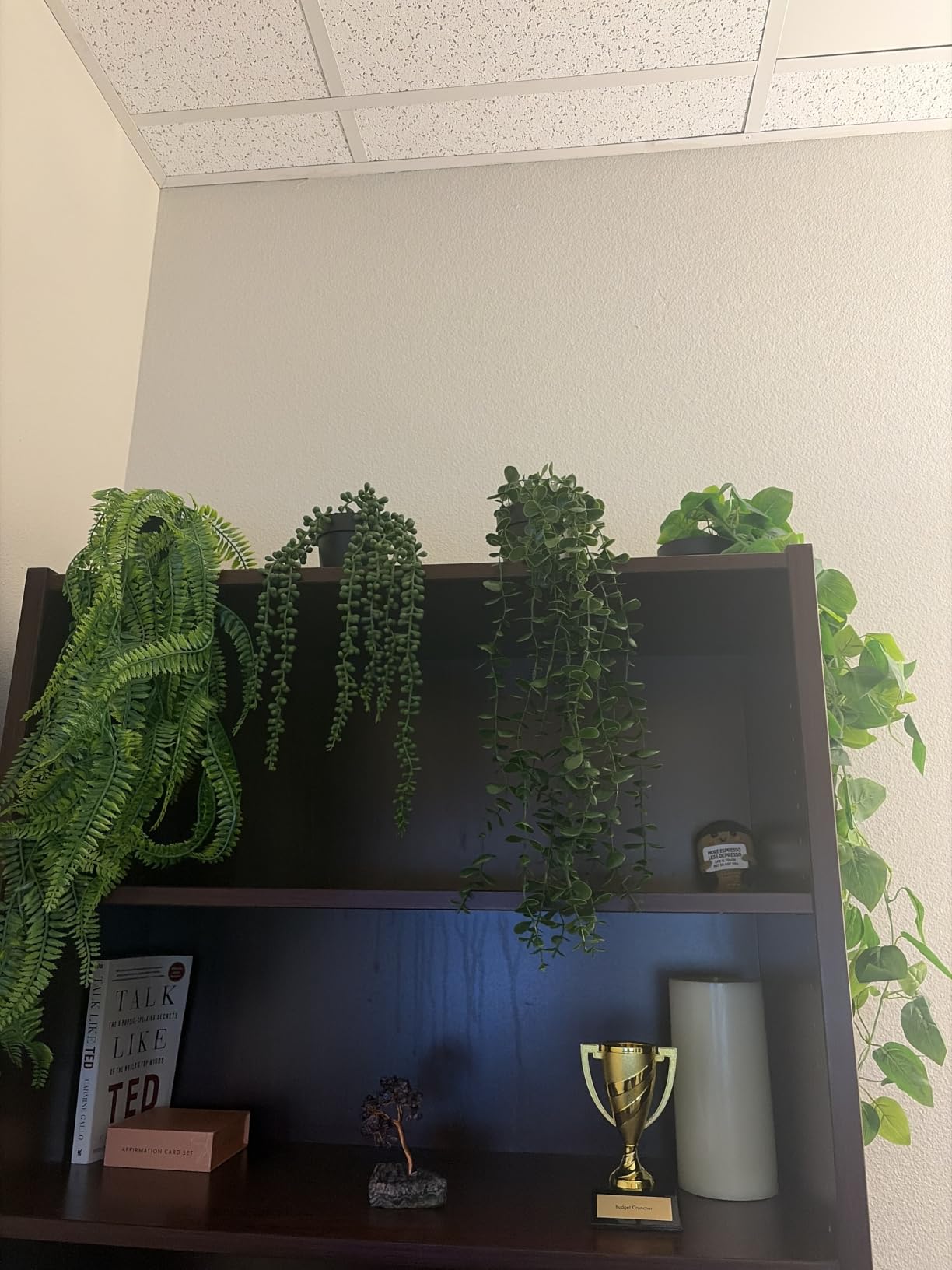 Der Rose 4Pcs Fake Hanging Plants with Lush Cascading Greenery | Artificial plant with black pots, 20-34 in long faux vine, for bathroom, kitchen, living room wall, shelf decor indoor customer photo 2