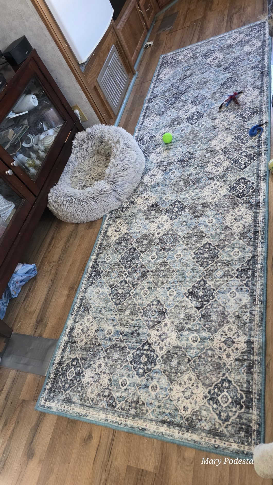 YARNSCAPE 9' x 12' Machine Washable Area Rug, Non-Slip Low-Pile Carpet | Lightweight Foldable Rug for Large Living and Dining Rooms, Vintage Distressed Floral Medallion, Green customer photo 1