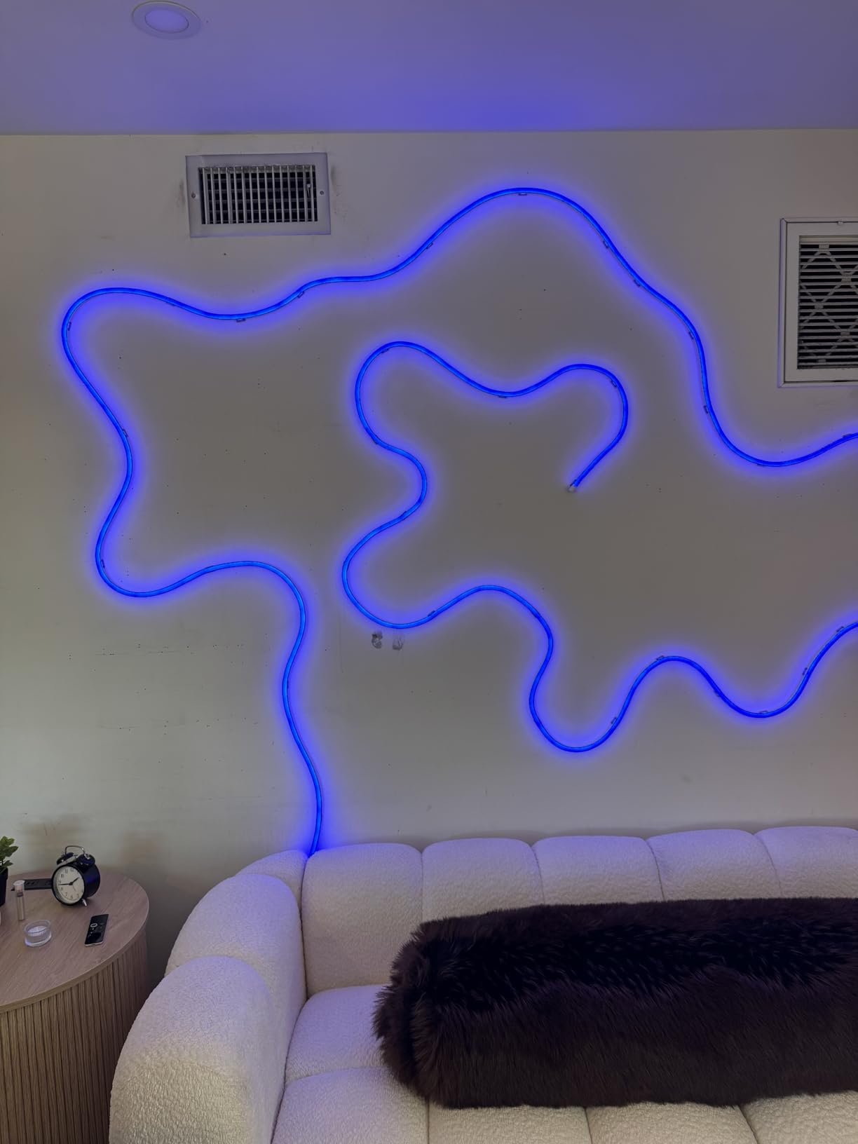 Lepro N1 AI Smart RGB Rope Lights for Christmas, Personalized AI Lighting Designer, LightBeats Music Sync, Color Segment DIY, Voice Control Via App, 19.68ft Wi-Fi & Bluetooth LED Strip Lights customer photo 1