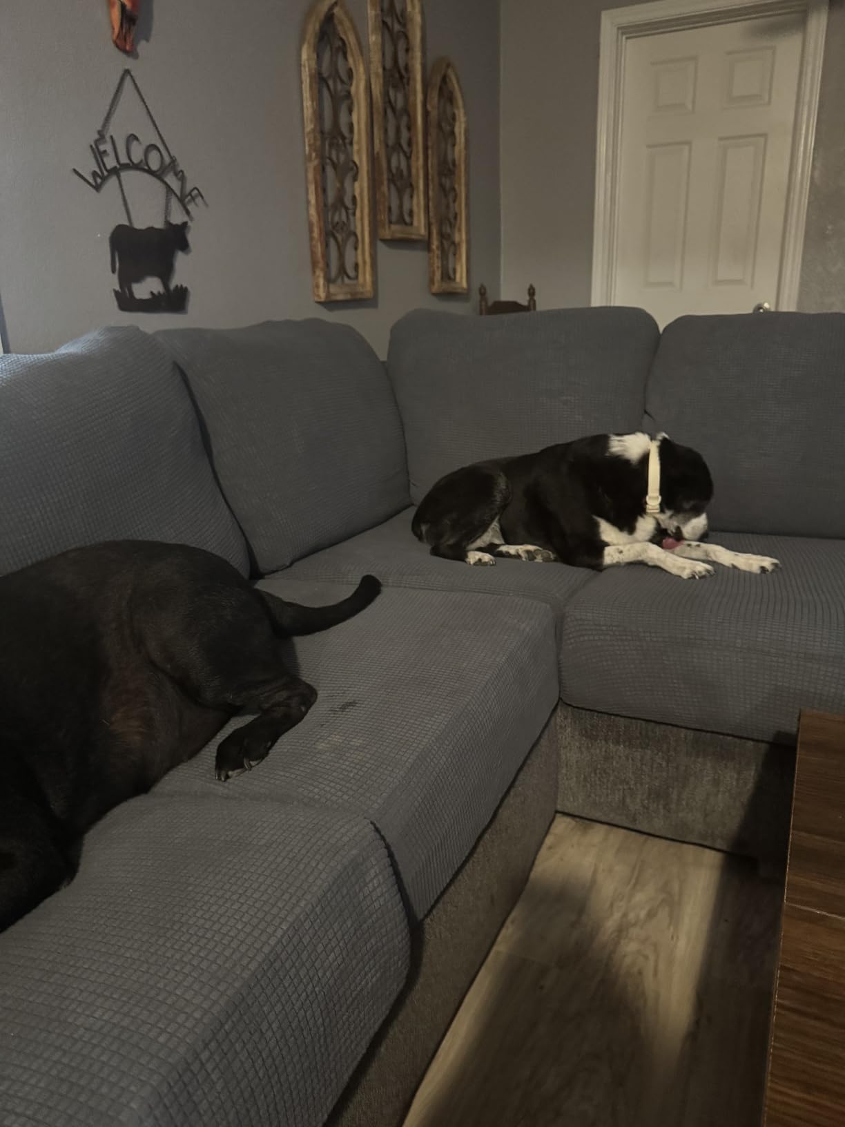 LA MEACK Couch Cushion Covers for Sectional Sofa customer photo 1