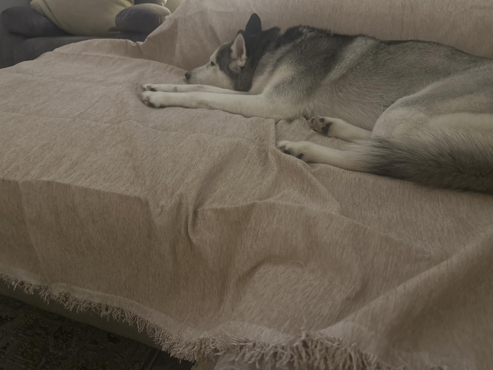 Oversized Couch Cover Sofa Cover for 3 Cushion Couch Sofa, Washable Sofa Covers for Living Room Sectional Sofa Covers for Dogs Couch Protector, 91
