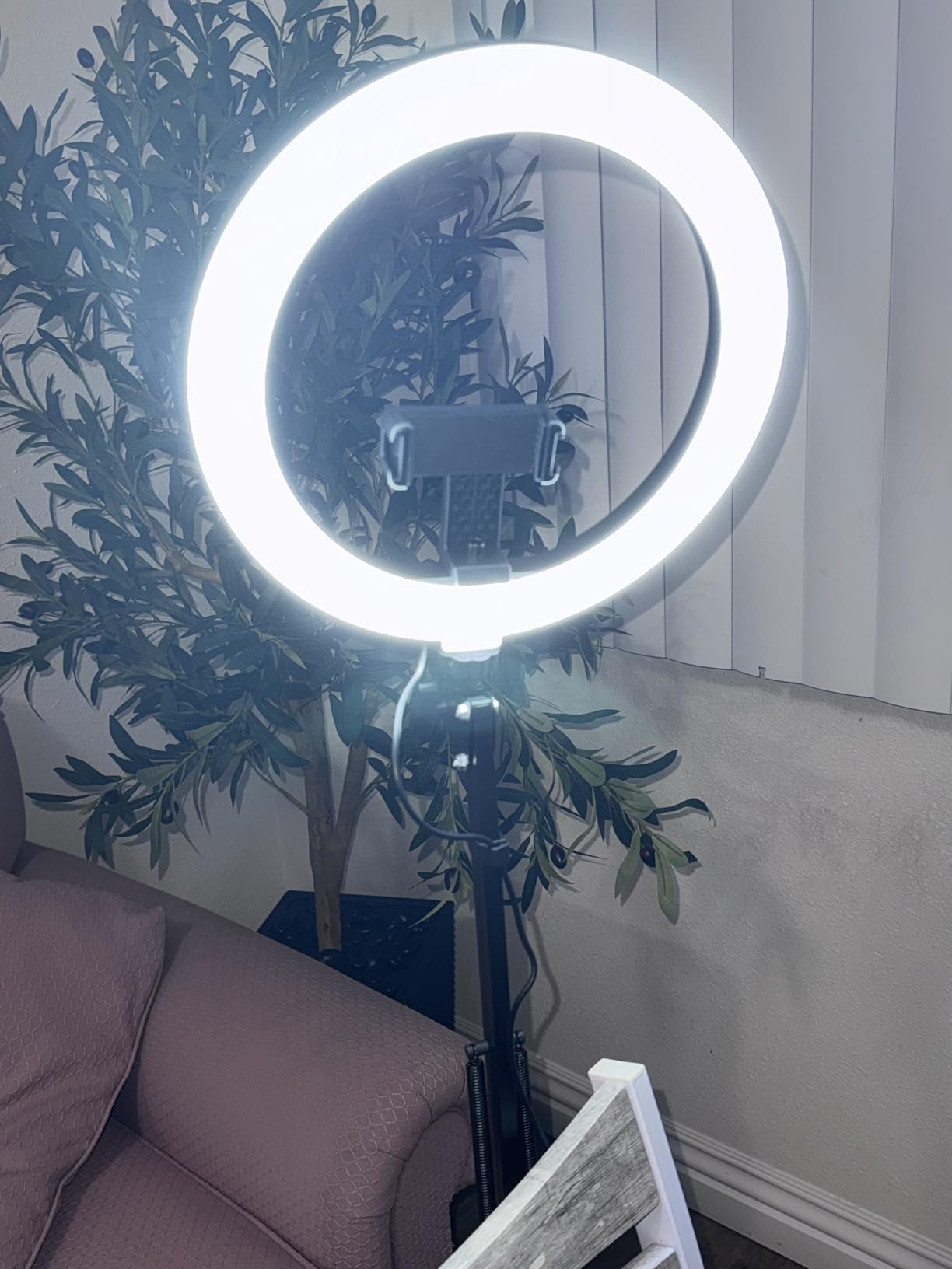 InnoGear Overhead Phone Mount Ring Light with Stand for Desk Canvas Lamp | Cooking Videos, Desk Clamp, Arm Stand, Calls, Adjustable Brightness, 3 Color Modes, Selfie, Phone, Sturdy customer photo 2