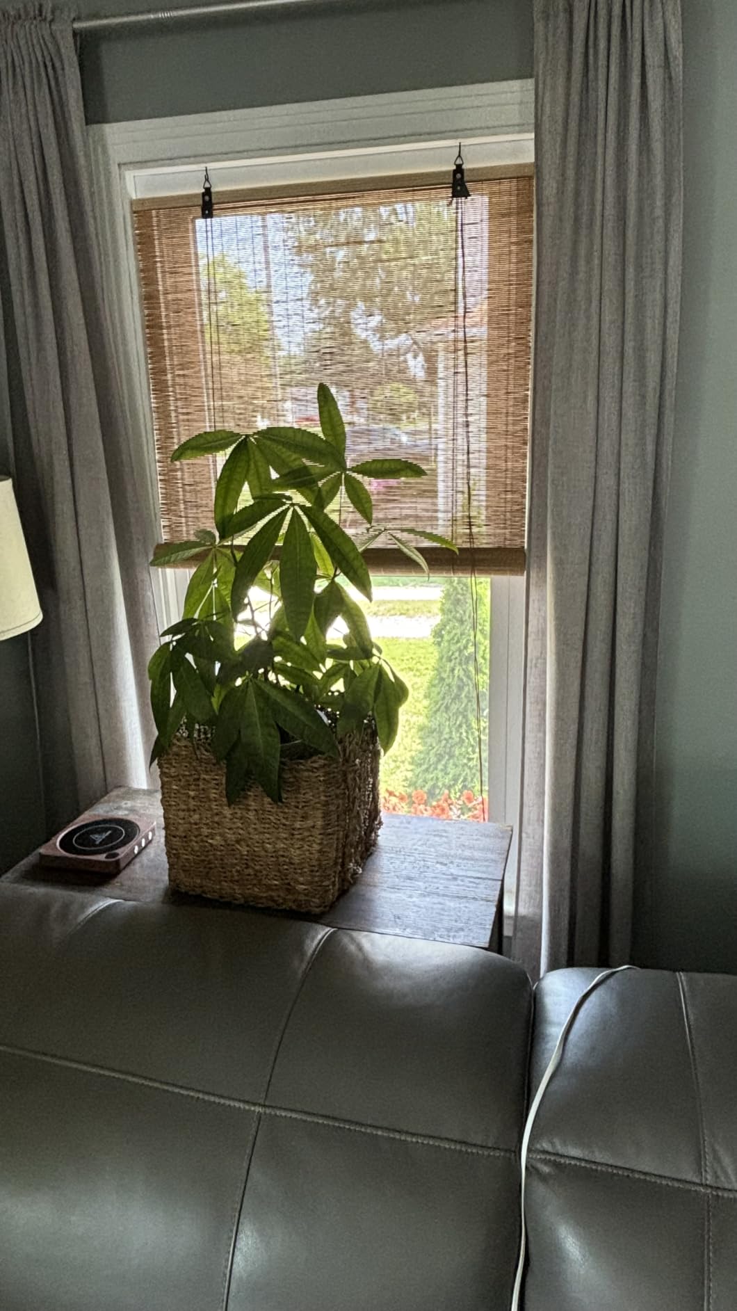 Bamboo Blinds for Interior Windows, Custom Bamboo Shades | Roller Shades for Indoor Window and Outdoor Patio, Easy to Install for Decks, Porches & Backyards customer photo 1